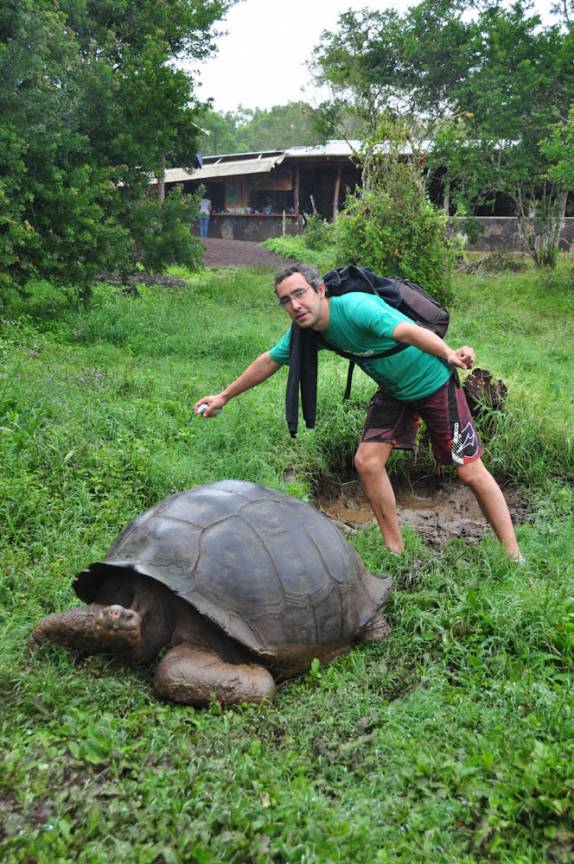 Junto com as tartarugas gigantes de Galápagos, na Ilha de Santa Cruz